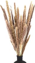 Pampas pluimen - Fluffy pluimen - 15 stuks – Pampas gras – 70 cm - Natuurlijk Bloemen