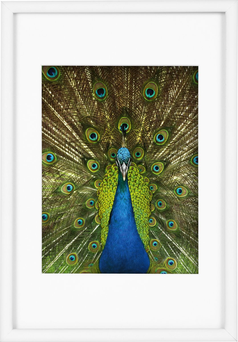 Goldbuch Fotolijst Pino - Wit - 15x20 cm (20x30 cm)