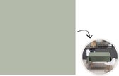 Tafelkleed - Tafellaken - 120x120 cm - Mintgroen - Effen kleur - Binnen en Buiten