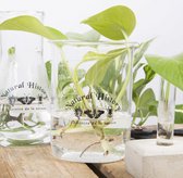 bekerglas 9,6 x 12,4 cm glas transparant