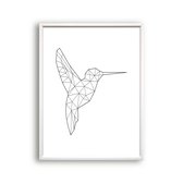 Schilderij  Lijnen Kolibrie / Hummingbird - Minimalistisch / Lijnen / 50x40cm