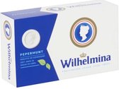 Fortuin - Wilhelmina Peppermunt Vegan - 8 x 100 g