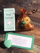 Cadeau | Geluk | Edelsteen | Jade | Geluksmunt | Vriendschap | Liefde