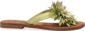 Lazamani  - SLIPPER BLOEM - Green - 39