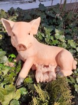 Varken beeld tuin beeld varken met 3 biggetjes 23x35x20 cm