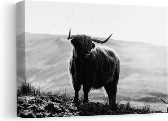 Artaza - Canvas Schilderij - Schotse Hooglander in de Heuvels van Schotland - Zwart Wit - 30x20 - Klein - Foto Op Canvas - Canvas Print