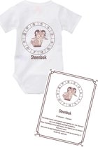 Romper en schilderij Steenbok (baby) maat 50/56 cadeau set