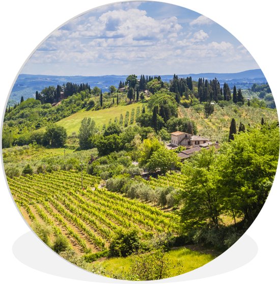 - Wijngaarden in het middeleeuws ommuurde stadje San Gimignano in Italië
