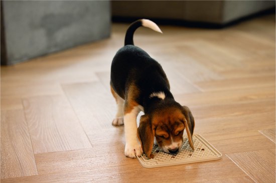 Beeztees Puppy Lick Mat Diza - Jouet pour Chien - Caoutchouc - Grijs - 20x20 cm