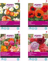 Cactula Poppy / Klaprozen zaden set van 4 soorten | IJslandse papaver | Oosterse klaproos | Slaapbol Pioenbloemige | Papaver Thai Silk   | Set je tuin vol met bloemen!