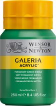 Winsor & Newton Galeria - Acrylverf - 250ml - Permanent Green Middle