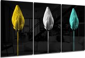 Insigne Glazen Schilderijen - Bloemen - Tulpen - 3-Delig  Mega Glasschilderij - 3x72x46 cm - 4 mm