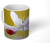 Mok - Bloem - Insect - Lente - 350 ML - Beker - Uitdeelcadeautjes