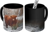 Magische Mok - Foto op Warmte Mok - Schotse Hooglander - Sneeuw - Bos - 350 ML - Uitdeelcadeautjes