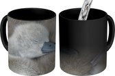 Magische Mok - Foto op Warmte Mok - Zwaan - Kuiken - Slaap - 350 ML - Uitdeelcadeautjes
