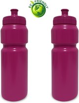 Drinkfles Dames 750ml x2 - waterflessen/drinkbussen - Roze
