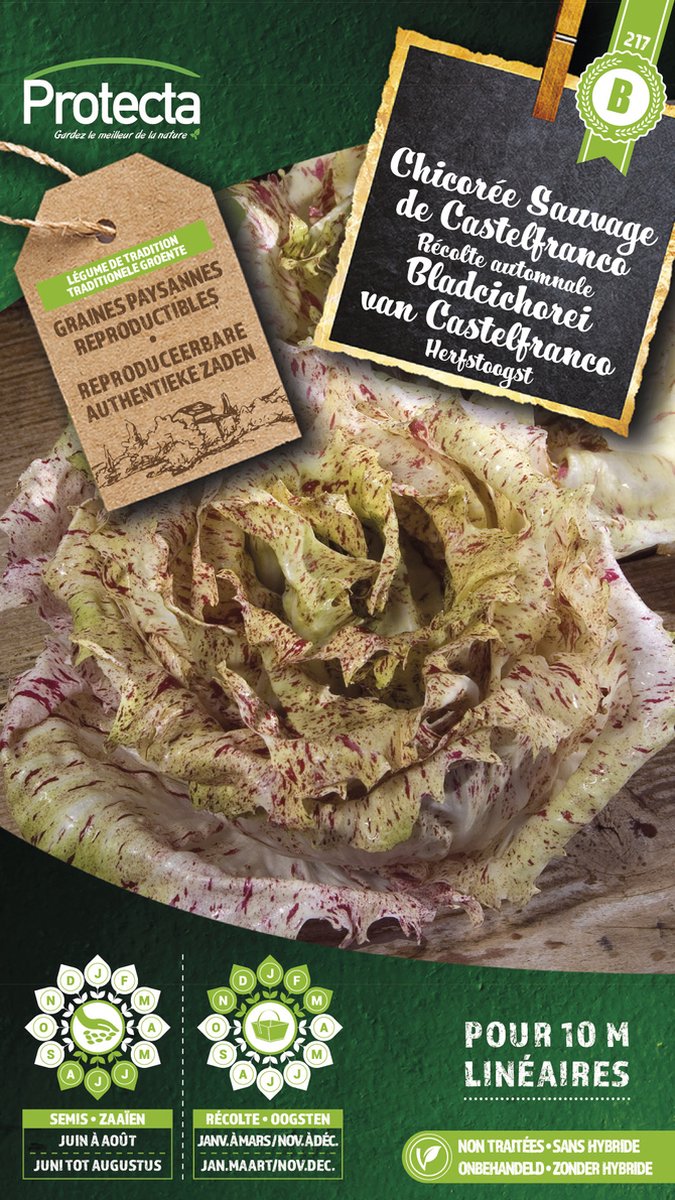 Protecta Groente zaden: Bladcichorei van Castelfranco