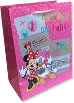 5 Luxe Disney Cadeautasjes A5 formaat 18x23cm - Disney Papieren cadeautasjes met Full-color bedrukking