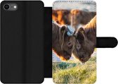 Bookcase Geschikt voor iPhone SE 2020 telefoonhoesje - Schotse Hooglanders - Dieren - Zon - Met vakjes - Wallet case met magneetsluiting
