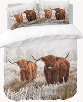 Y-NOT - Winter Highlanders - Dekbedovertrek - Katoensatijn - Eenpersoons - 140x200/220 cm - Multi