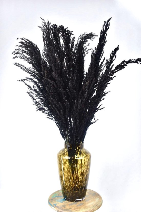 Pampas pluimen - Zwart - 7 stuks - 90 - 100 cm - Droogbloemen - Natuurlijk Bloemen