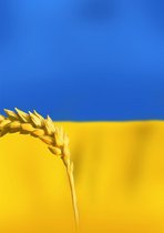 Moyze Oekraïne - Poster - Steun Oekraïne - Poster - Vlag Oekraïne