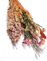 Cactula mooi boeket droogbloemen in Roze en Oranje tinten