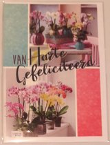 Van harte gefeliciteerd met je verjaardag! Een kleurrijke wenskaart met allerlei orchideën in verschillende kleuren op een rij. Een dubbele wenskaart inclusief envelop en in folie verpakt.