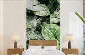 Papier Peint - Papiers Papier peint photo Feuilles - Nature - Végétal - Largeur 120 cm x Hauteur 240 cm