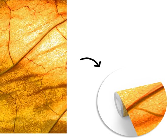 Papier Peint - Papier Papier peint photo Feuilles - Structure - Jaune - Largeur 120 cm x Hauteur 240 cm