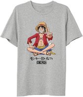 One Piece – Luffy Sitting T-Shirt - Grijs - Maat S