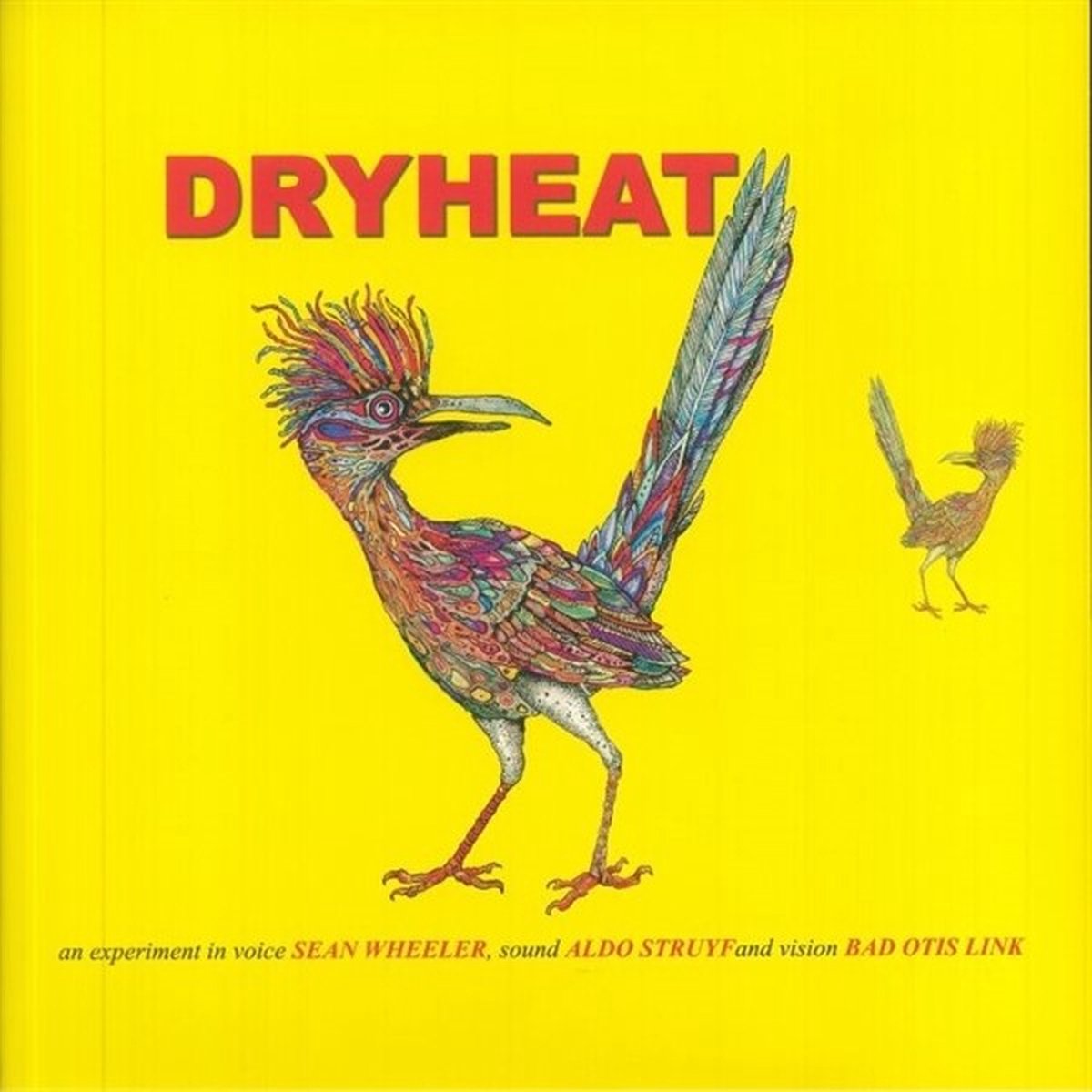 Sean Wheeler and Aldo Struyf - Dryheat (LP) (Limited Edition)