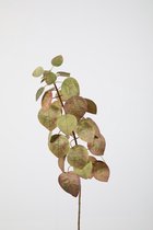 Kunstblad Cotinus - topkwaliteit decoratie - Groen - zijden tak - 71 cm hoog