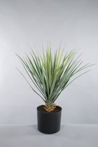 Kunstplant agave - topkwaliteit decoratie - Groen - zijden plant - 65 cm hoog