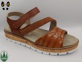 Franken dames comfort sandaal, F121 bruin croco, Maat 37