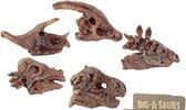 Dinosaur Skull Fossil - Dig-A-Saurs - Dig it Out Kit.