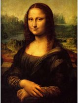 Diamond painting - Mona Lisa van Leonardo da Vinci - Oude meesters - Geproduceerd in Nederland - 50 x 70 cm - canvas materiaal - vierkante steentjes - Binnen 2-3 werkdagen in huis