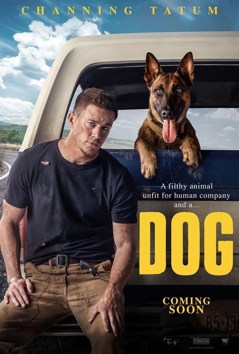 Dog (DVD) - WW Entertainment