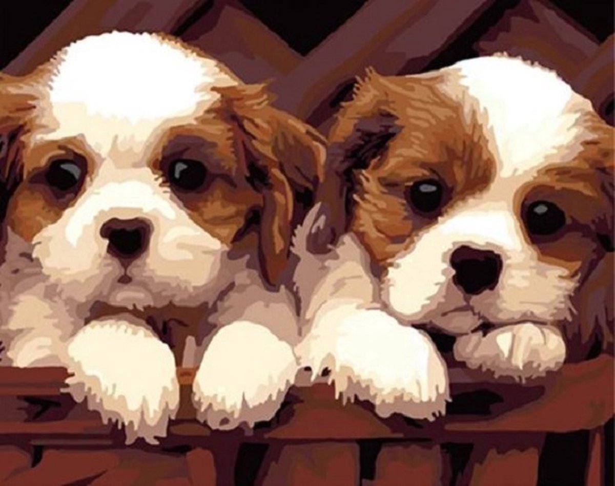 Diamond Painting 2 Hondjes - 30x40cm - Complete Set - Inclusief Tools - Stipco