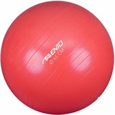 fitnessbal 65 cm rubber roze