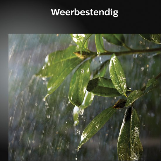 Groene bladeren in de regen. Weerbestendig.