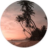 Label2X - Muurcirkel palm sunset - Ø 40 cm - Forex - Multicolor - Wandcirkel - Rond Schilderij - Muurdecoratie Cirkel - Wandecoratie rond - Decoratie voor woonkamer of slaapkamer
