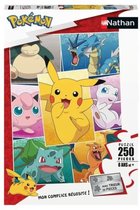 POKEMON - Puzzel 250 stukjes - Soorten Pokémon - Nathan