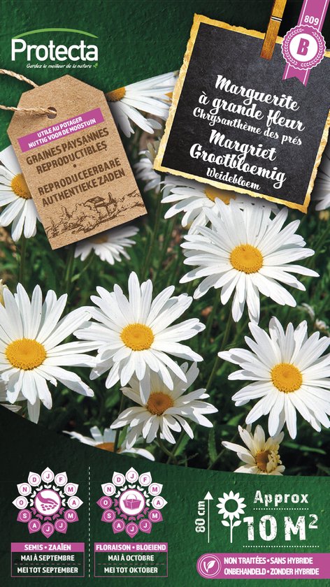 Protecta Bloemen zaden: Margriet Grootbloemig | Leucanthemum