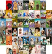 Pico NL® Muursticker set Honden - Wanddecoratie - Fotocollage - Muurversiering - 50 foto’s van 10 x 15 cm