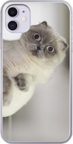 Geschikt voor iPhone 11 hoesje - Kat - Dier - Woonkamer - Siliconen Telefoonhoesje
