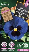Protecta Bloemen zaden: Viola Zwitserse Blauwe | Zwitserse reus