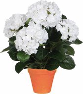 Kunstplant Hortensia Wit - H 45cm - Terra sierpot - Mica Decorations