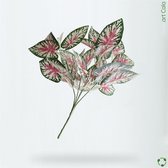 .art Cala - kunstplantje calathea roze/wit/groen