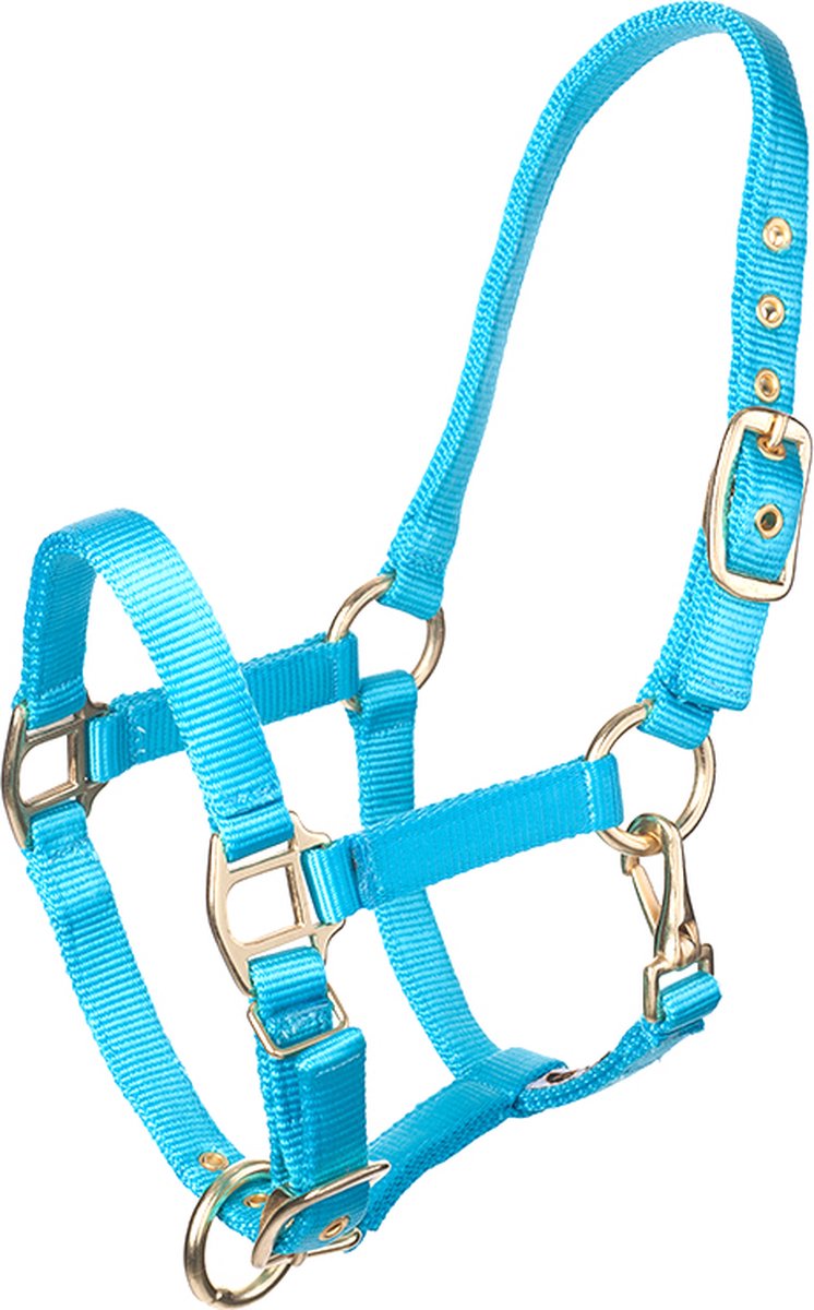 MHS Halster Fancy Aqua Pony